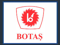 botaƒ